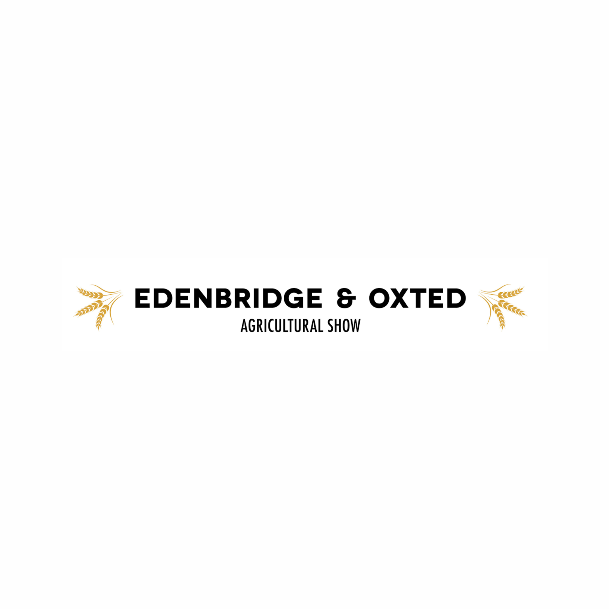 Edenbridge Oxted Show 2024 Advanced Mobility Event Hire